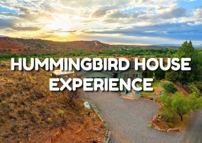 Hummingbird House Experience